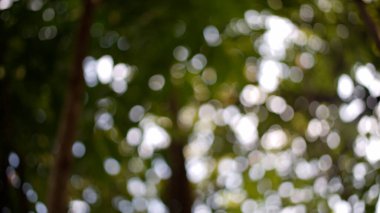 Soyut bir ayar olarak güzel bir çember