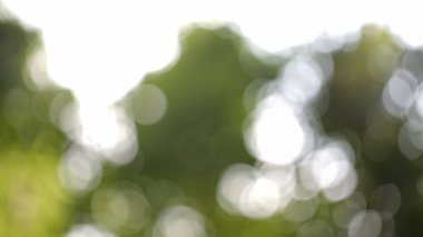 yeşil ve sarı arkaplan