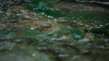 Su çok berrak ve sakin.