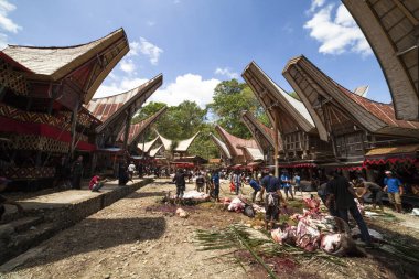 TANA TORAJA, SULAWESI, İNDONEZYA - 26 Kasım 2016: Tana Toraja, Sulawesi, Endonezya 'da cenaze töreni