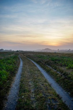 Gecenin geç saatlerinde çayırdaki patika.