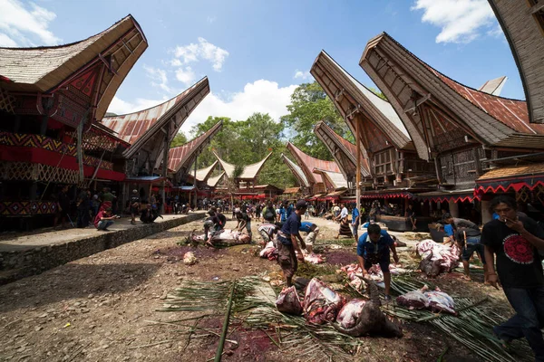 TANA TORAJA, SULAWESI, İNDONEZYA - 26 Kasım 2016: Tana Toraja, Sulawesi, Endonezya 'da cenaze töreni
