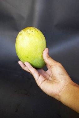 Siyah arka planda mango tutan bir adam.
