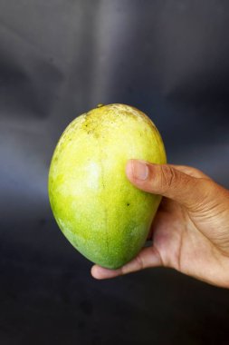 Siyah arka planda mango tutan eller.