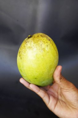 Siyah arka planda mango tutan bir kadın eli.