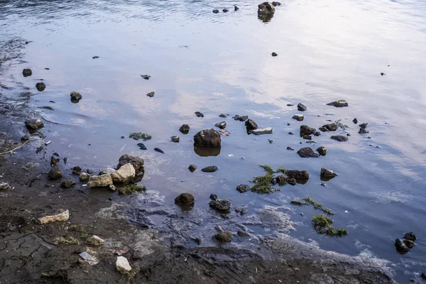 Plast Avfall Innsjøen Med Samling Steiner stockfoto