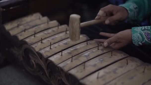 Gamelan Είναι Ένα Από Παραδοσιακά Μουσικά Όργανα Στην Ινδονησία Που — Αρχείο Βίντεο