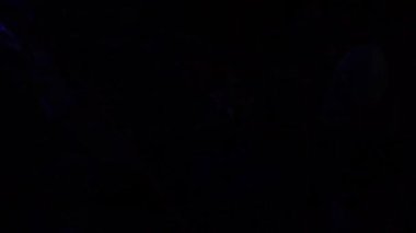 Bogor, Endonezya. 3 Haziran 2023: Jaipongan, Endonezya 'da çok popüler olan ve Karawang bölgesinden gelen geleneksel bir Sundan sosyal dansıdır..