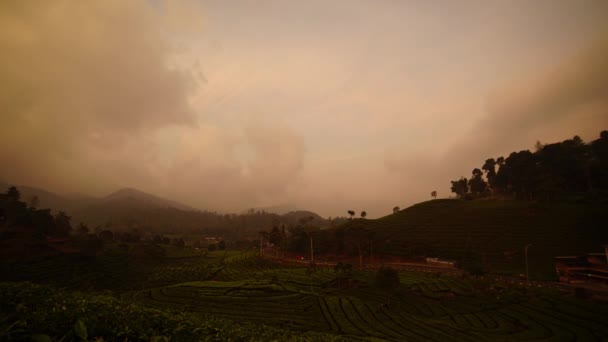 Timelapse Sunset Ciwidey Tea Plantations Bandung Indonesia — Stock Video