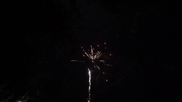 在国庆节 新年晚会或庆祝活动期间 真正五彩缤纷的烟花在夜晚的天空中展示 灿烂的焰火表演 — 图库视频影像