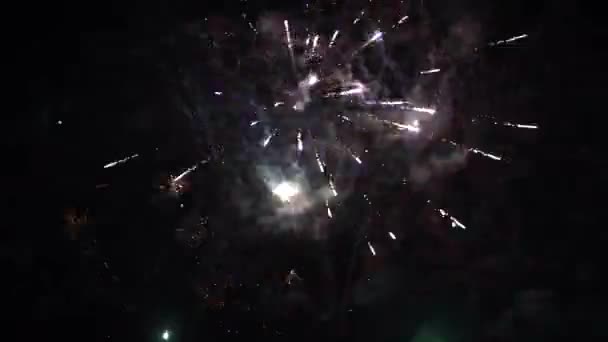 Loop Real Colorful Fireworks Festival Sky Display Night National Holiday — Stock Video