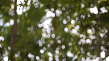 düzgün mermilerle soyut yeşil arkaplan