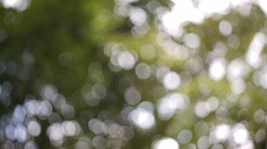 düzgün mermilerle soyut yeşil arkaplan