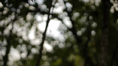 düzgün mermilerle soyut yeşil arkaplan