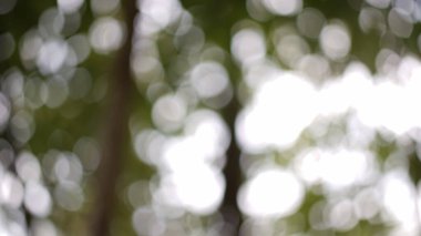 düzgün mermilerle soyut yeşil arkaplan