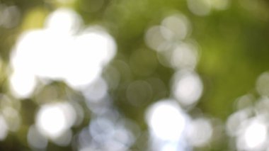 düzgün mermilerle soyut yeşil arkaplan