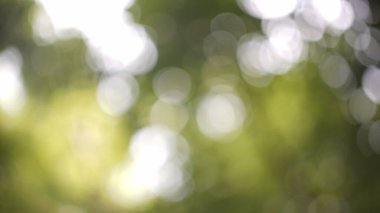 düzgün mermilerle soyut yeşil arkaplan