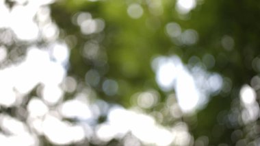 düzgün mermilerle soyut yeşil arkaplan