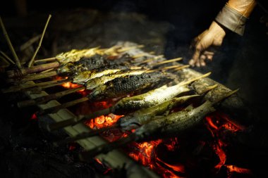 Kızarmış balık pişiriyorum.