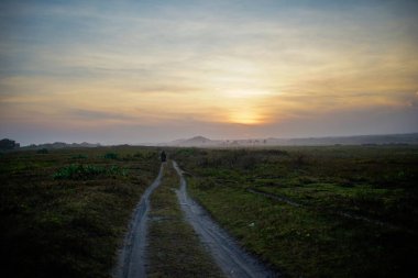 Öğleden sonra otlakların atmosferi. Arka planda dağlar olan patikalar.