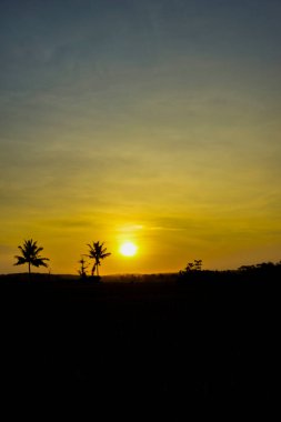 İki hindistan cevizi ağacının silueti ile günbatımının atmosferi