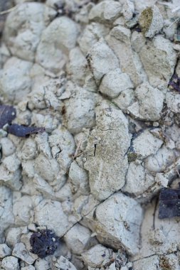 sertleşmiş toprak kahverengi tümsekler oluşturur