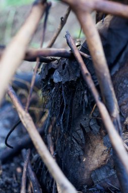 Sumatra Endonezya 'daki orman yangınlarının dallarını kapatın