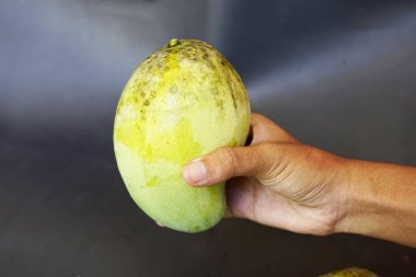 Bir parça taze mangoyu tutan el hala yeşil ve siyah bir arka planı var.