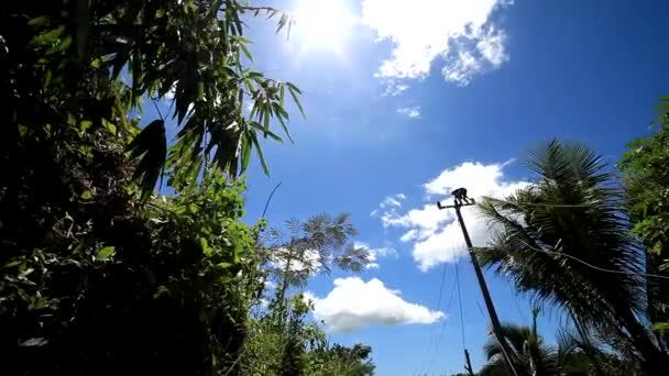 Cianjur Indonesia 2015 Výstavba Elektrických Pólů Kabelů Odlehlých Oblastech Podpořena — Stock video