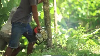 CIANJUR, INDONEZYA - 17 Ekim 2015: Uzak bölgelerde elektrik direklerinin ve kabloların inşasına sakinlerin karşılıklı işbirliğiyle yardımcı olunur