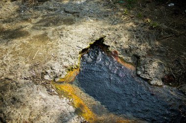 Toprağın içinden pınarlar fışkırtarak.