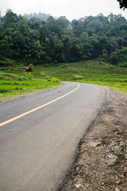 Asfalt yol dağlarda döner.