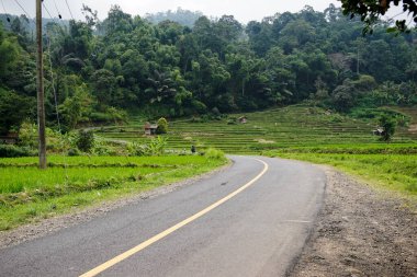 Asfalt yol dağlarda döner.