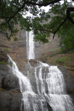 Curug Cikanteh Ciletuh, Sukabumi, Batı Java Endonezya 'daki güzel şelalelerden biri.