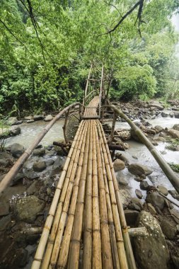 Ormanın ortasında bambudan yapılmış bir köprü.