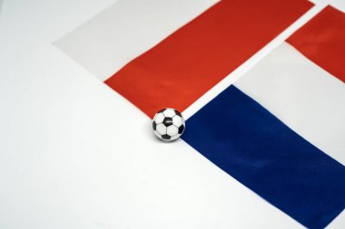 Fransa Polonya 'ya karşı, ulusal bayraklarla futbol maçı