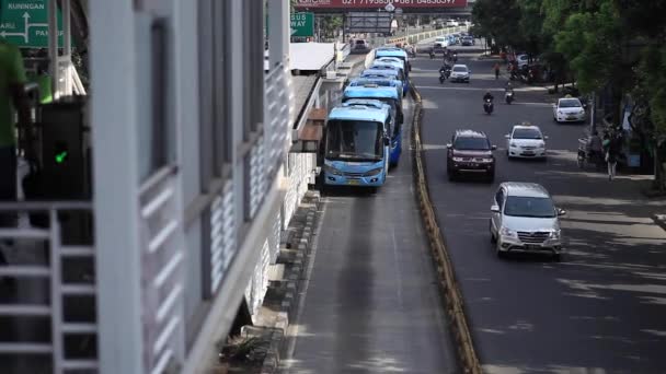 Джакарта Индонезия Март 2016 Автобусы Транс Джакарта Забирают Высаживают Пассажиров — стоковое видео