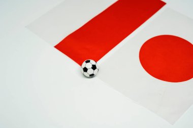 Polonya Japonya 'ya karşı, ulusal bayraklarla futbol maçı