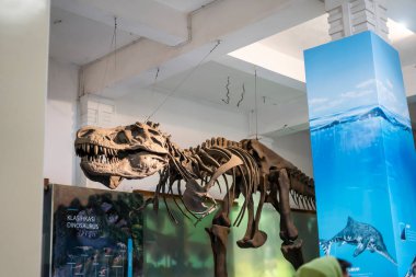 BANDUNG, Indonezya - 29 ARALIK 2022. Disosaurus Geologi Müzesi 'nde Sergiler / Görüntüler