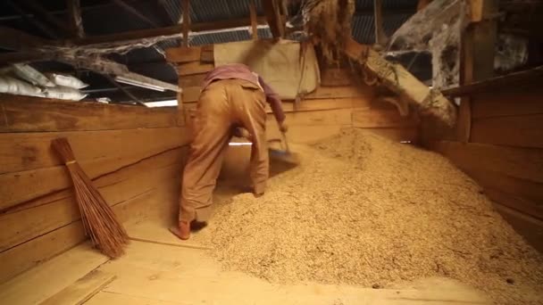 Διαδικασία Άλεσης Του Ορυχείου Ρύζι Παραδοσιακό Εργοστάσιο — Αρχείο Βίντεο