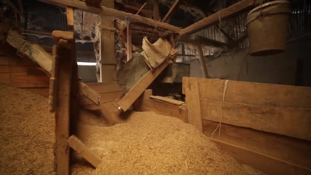伝統工場で米にパディを粉砕するプロセス — ストック動画