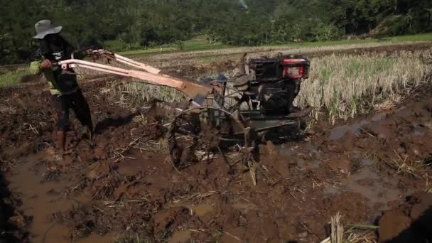 Cianjur Indonesia October 2015 农民使用拖拉机耕作农田 — 图库视频影像