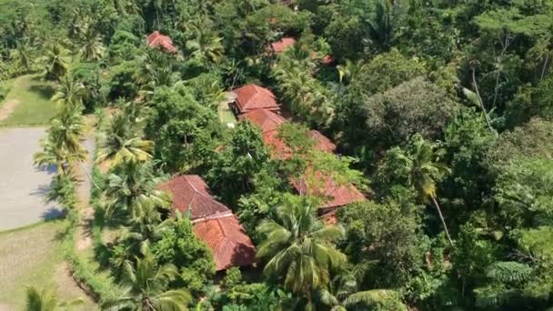 环绕着椰树 稻田和森林的村庄房屋的空中景观 — 图库视频影像