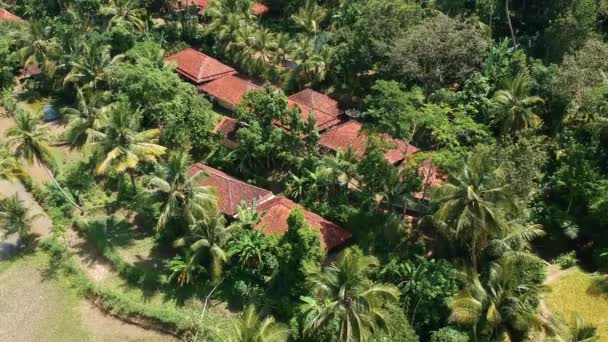 ココナッツの木 森に囲まれた村の家屋の空想的な眺め — ストック動画
