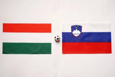 Macaristan Slovenya 'ya karşı, ulusal bayraklarla futbol maçı