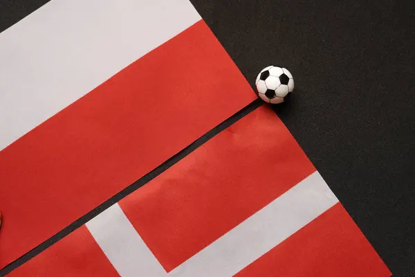 Polonya Danimarka 'ya karşı, ulusal bayraklarla futbol maçı