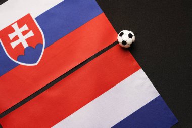 Slovakya Hollanda 'ya karşı, ulusal bayraklarla futbol maçı