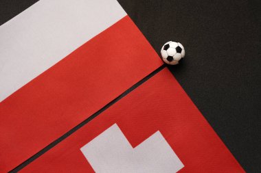 İsviçre Polonya 'ya karşı, ulusal bayraklarla futbol maçı
