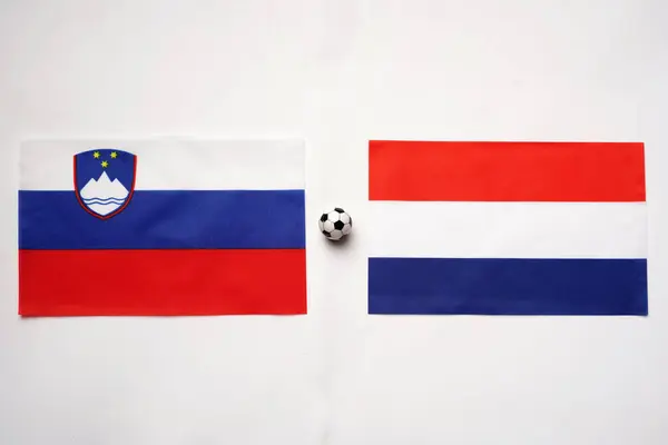 Slovenya Hollanda 'ya karşı, ulusal bayraklarla futbol maçı
