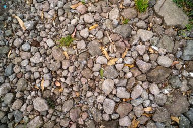 Rastgele yerleştirilmiş küçük taşlar. Doku. Arkaplan